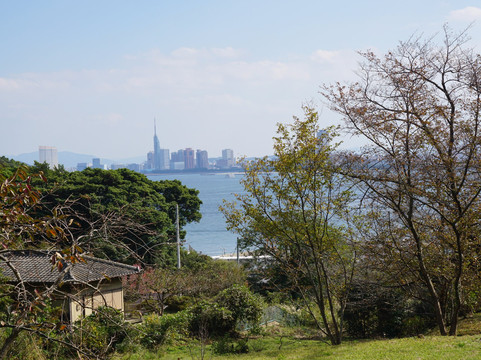Nokonoshima旅游景点-Noko Museum
