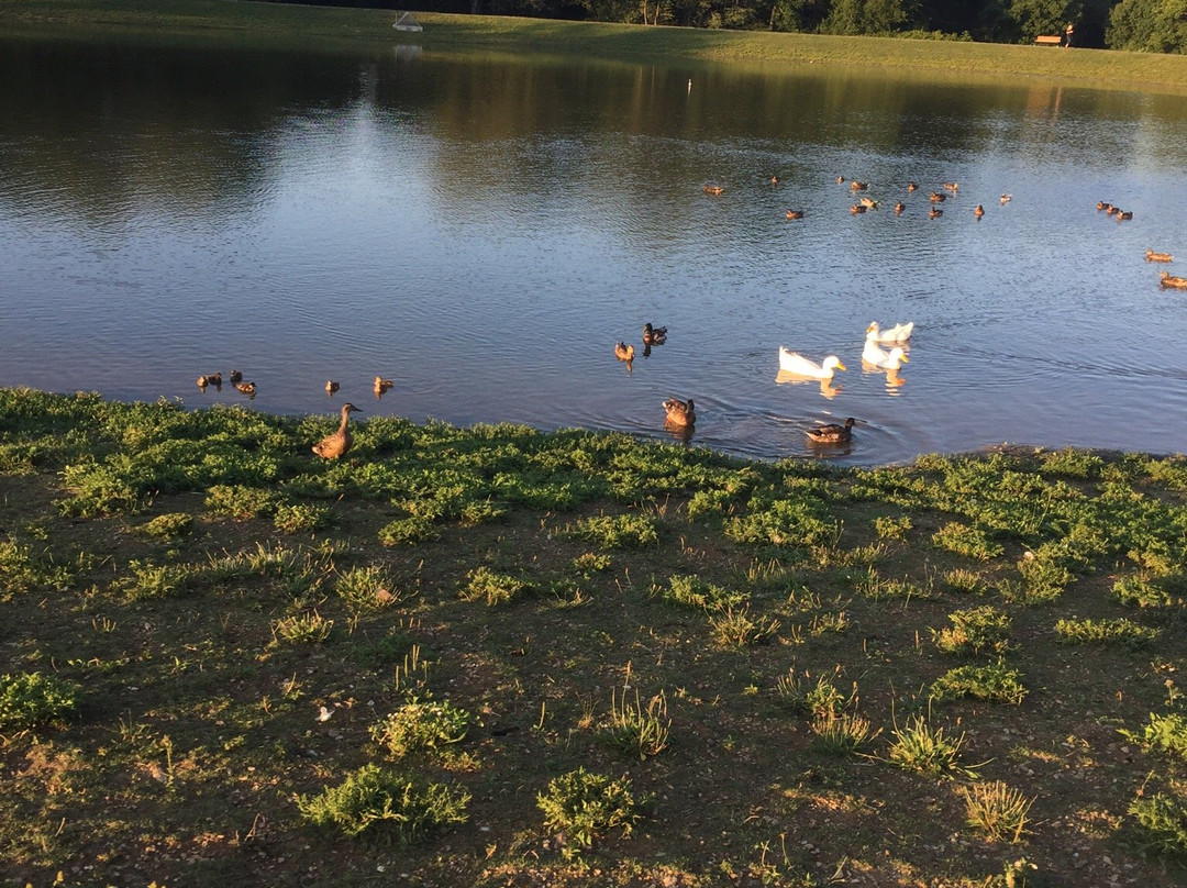 Westminster Community Pond-Westminster必去景点