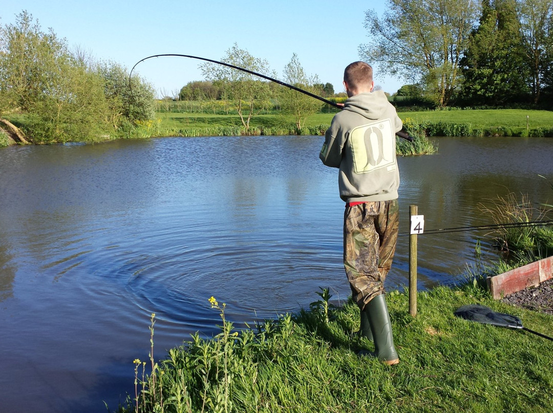 Alvingham Lakes-Louth必去景点