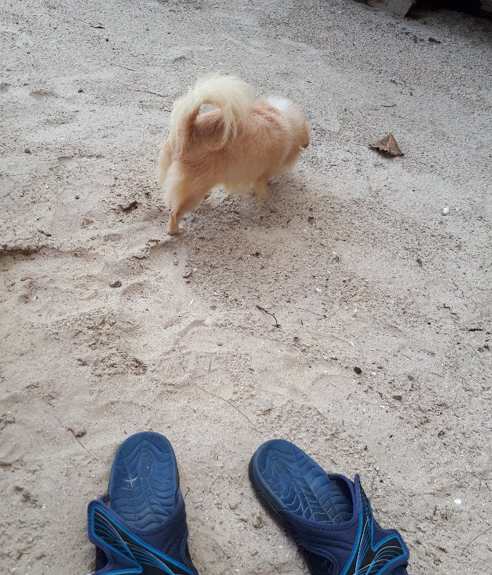 Suan Son-甲铃必去景点