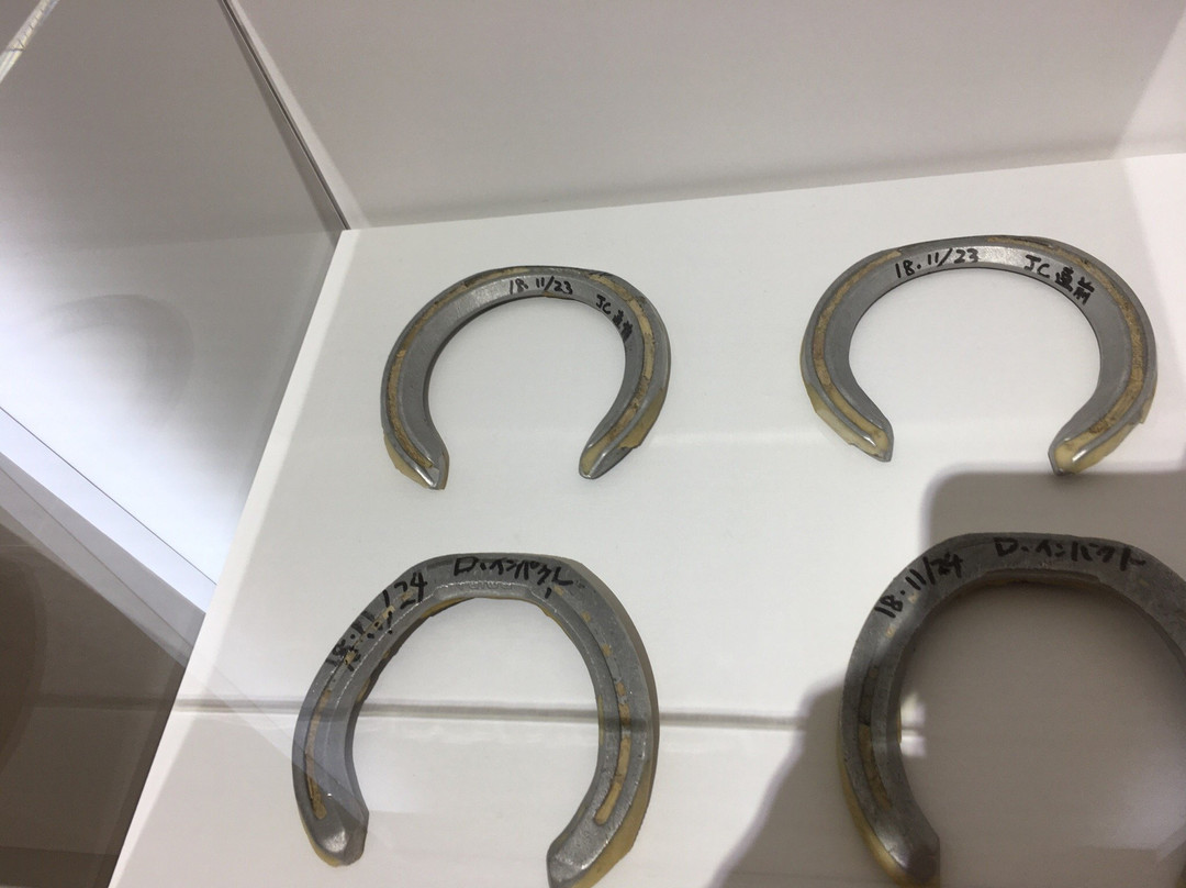 JRA Horseracing　Museum-府中市必去景点