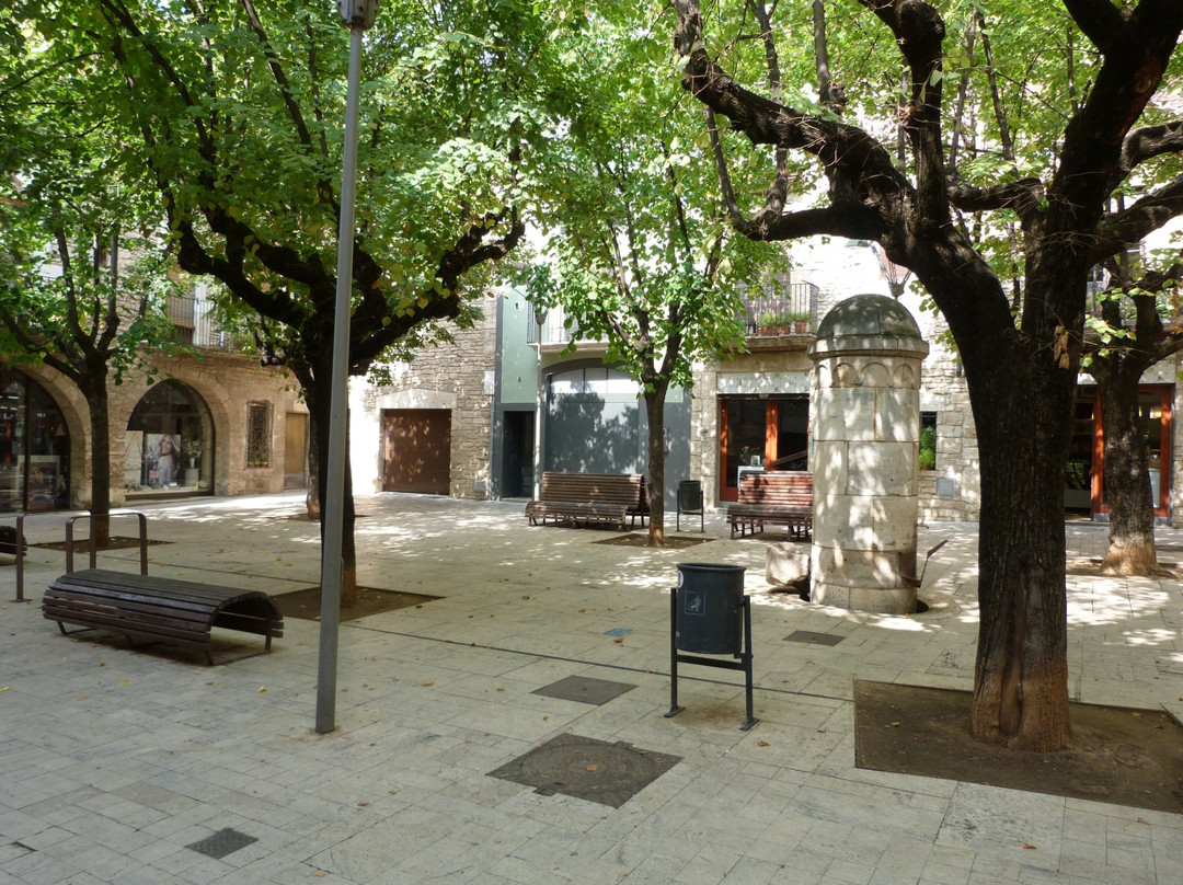 Museu Arqueológic Comarcal景点图片