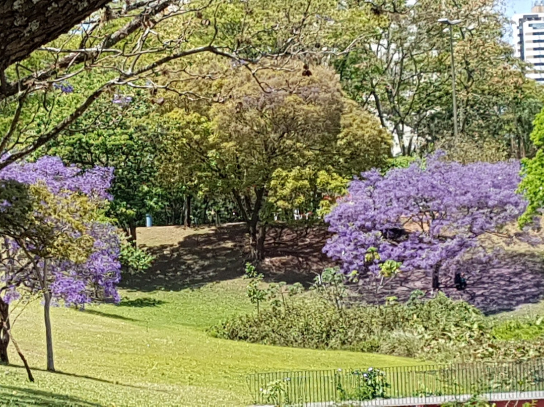 Parque Vitória Régia景点图片