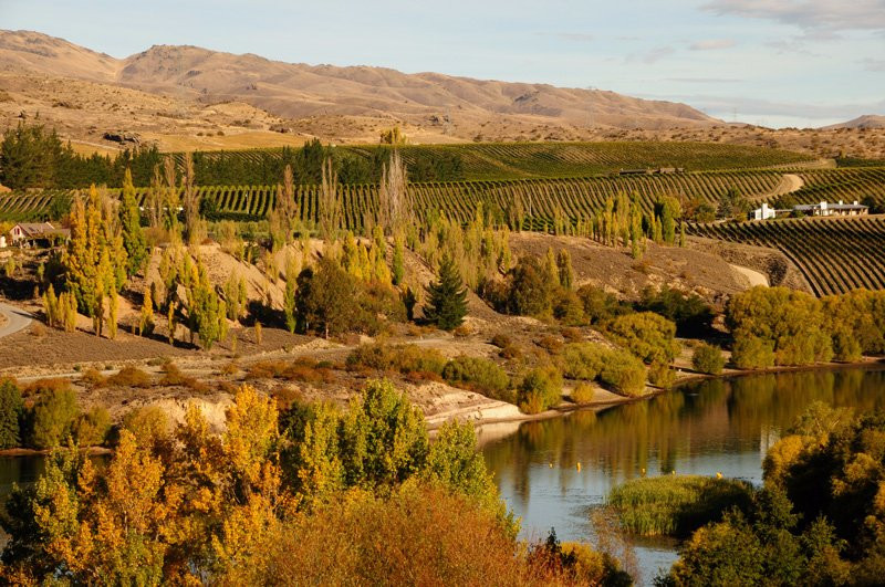 Ceres Wines