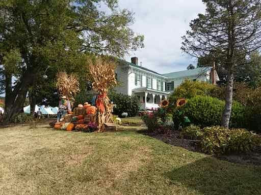 Robert A. Tino Gallery-塞维尔维尔必去景点