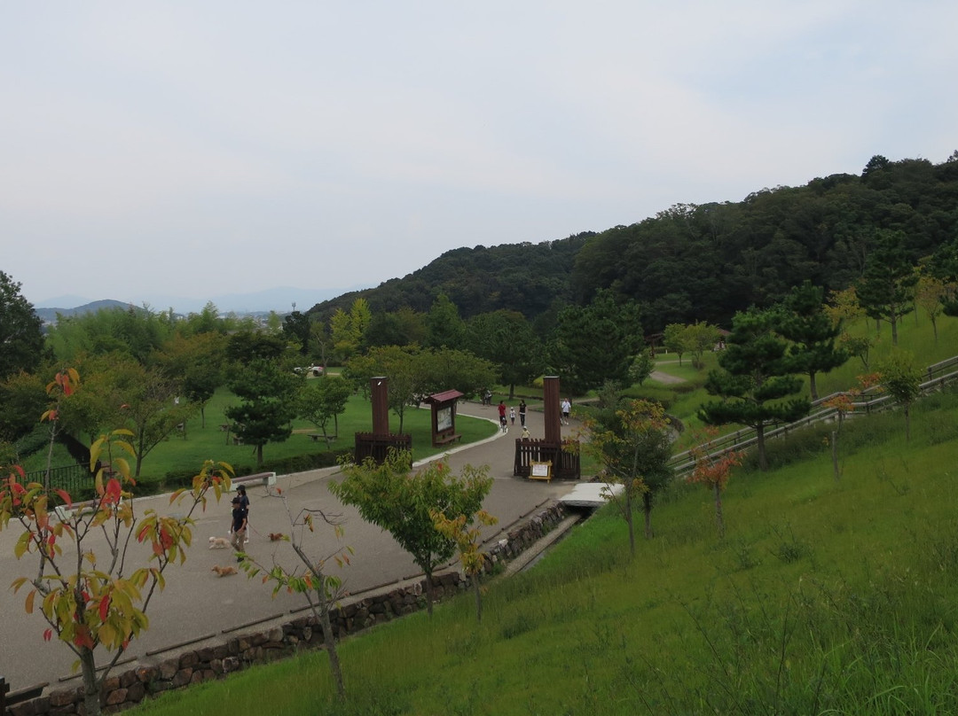 Higashi-mikawa Furusato Park景点图片