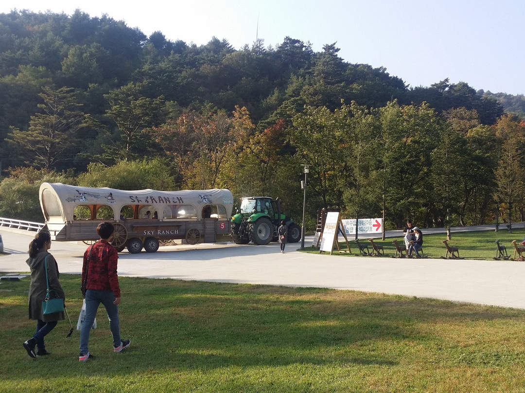 Daegwallyeong Sky Ranch-平昌郡必去景点