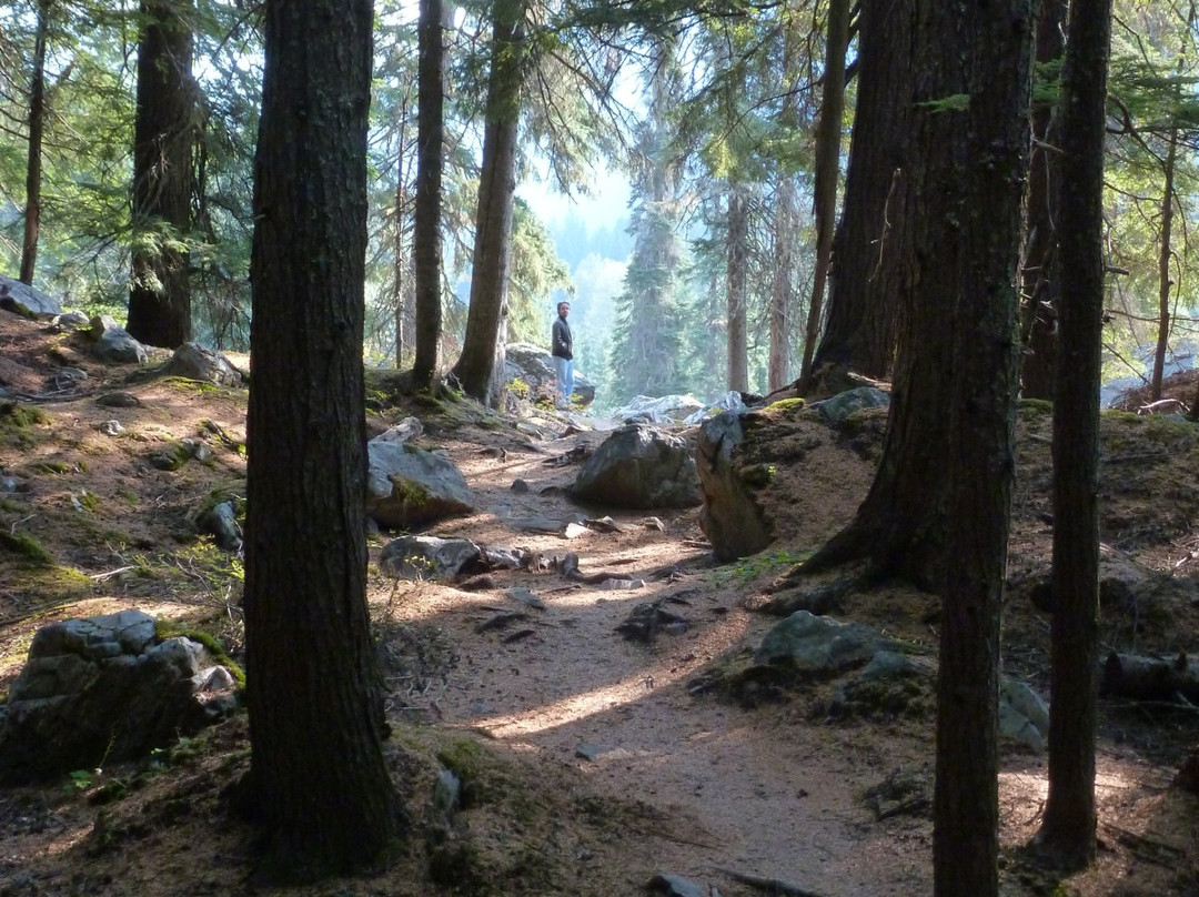 Rock Garden Trail景点图片