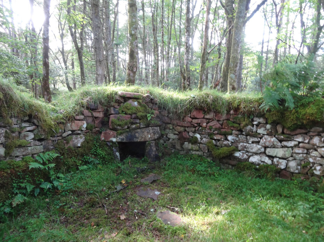 Isle of Rum Community Ranger Service-Isle of Rum必去景点