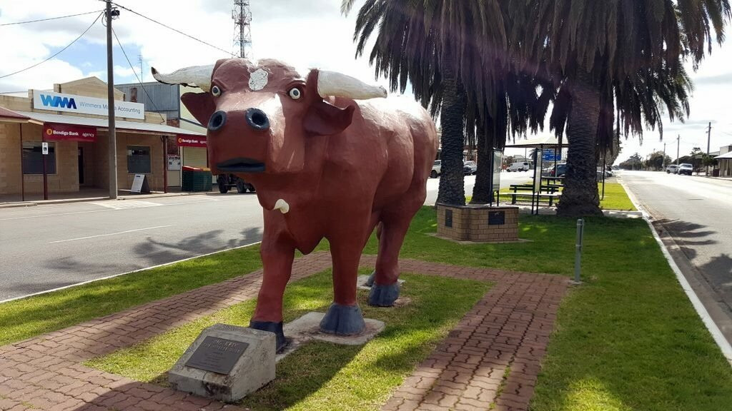 Birchip's Mallee Bull