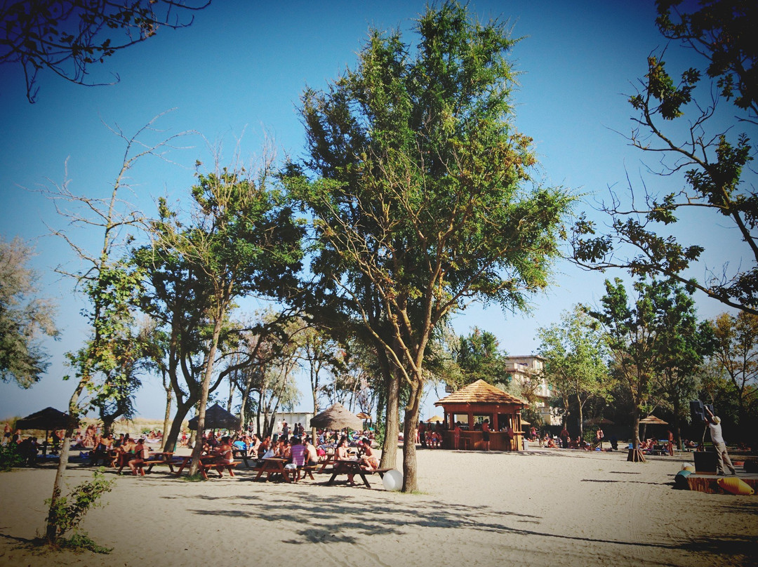 Sand Gate Beach景点图片