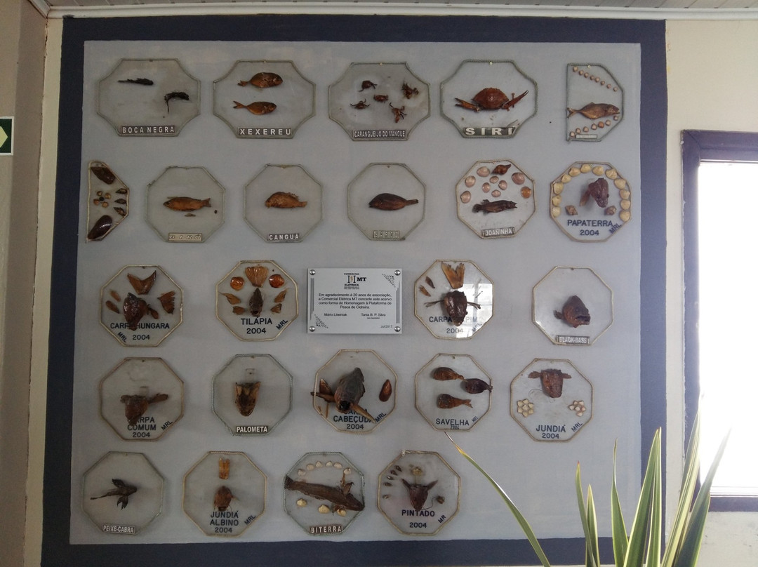 Plataforma de Pesca Cidreira景点图片