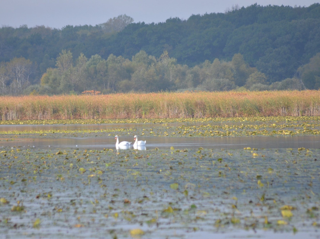 The Inn at Lake Elizabeth主图