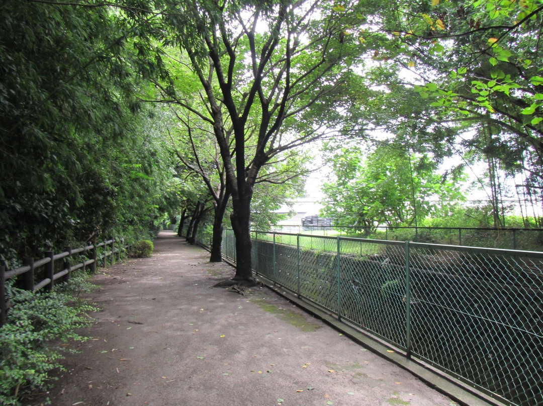 Former Mekujiri River Furusato Pedestrian Path景点图片