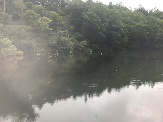 Yachiho Highland Natural Garden-佐久穗町必去景点