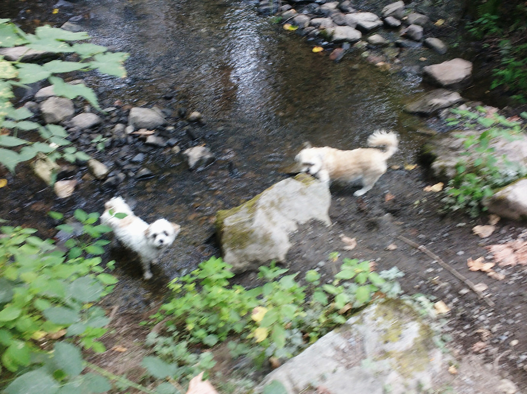 Fraser River Heritage Park-米逊必去景点