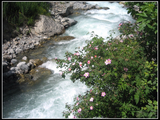 Asinerie de Valloirette-Valloire必去景点