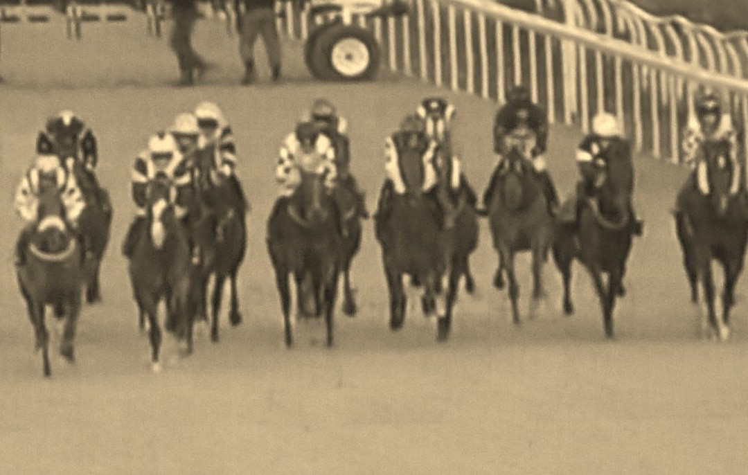 Newcastle Racecourse景点图片