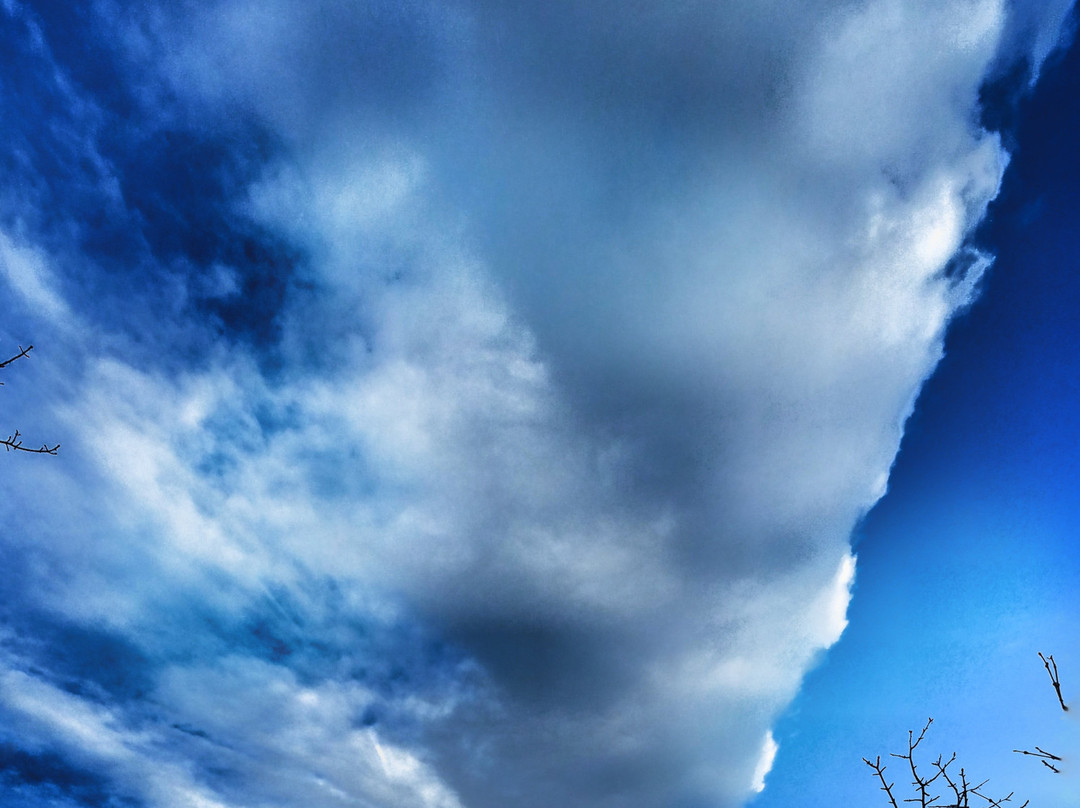 Professor's Lake Recreation Centre-布兰普敦必去景点