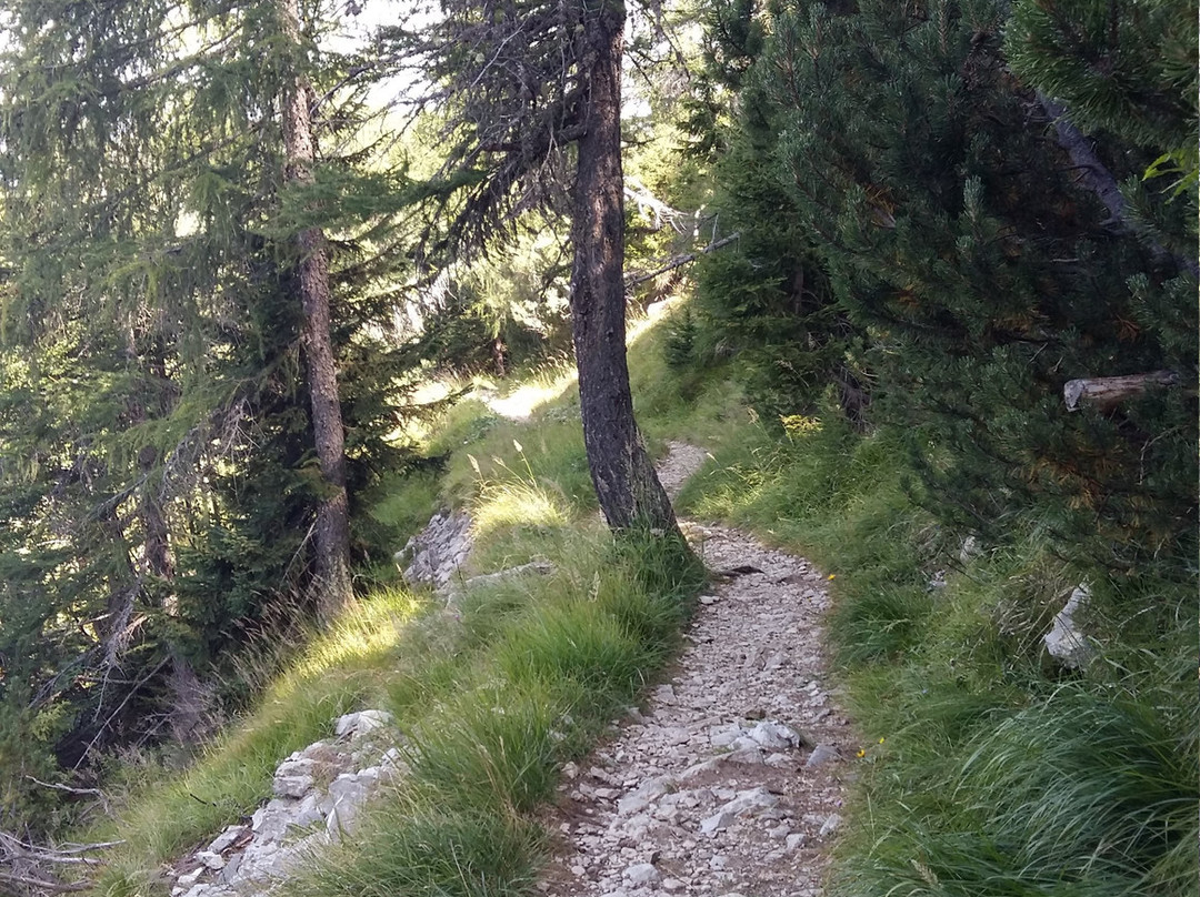Monte Maggio景点图片