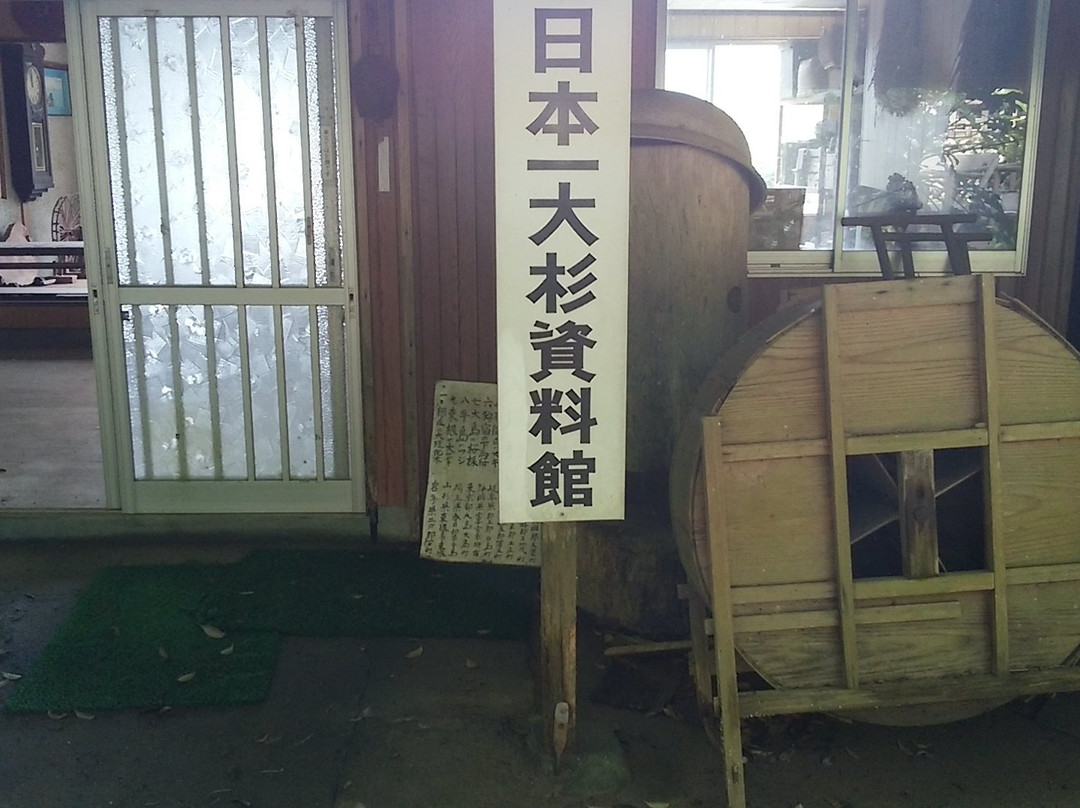 Nihon Ichi Osugi Museum-大豊町必去景点