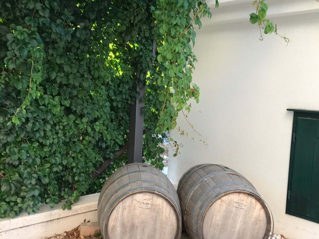 Winery Kovac景点图片