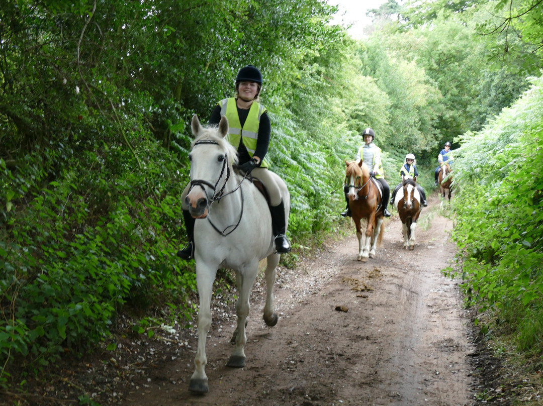 Willington Hall Riding Centre景点图片