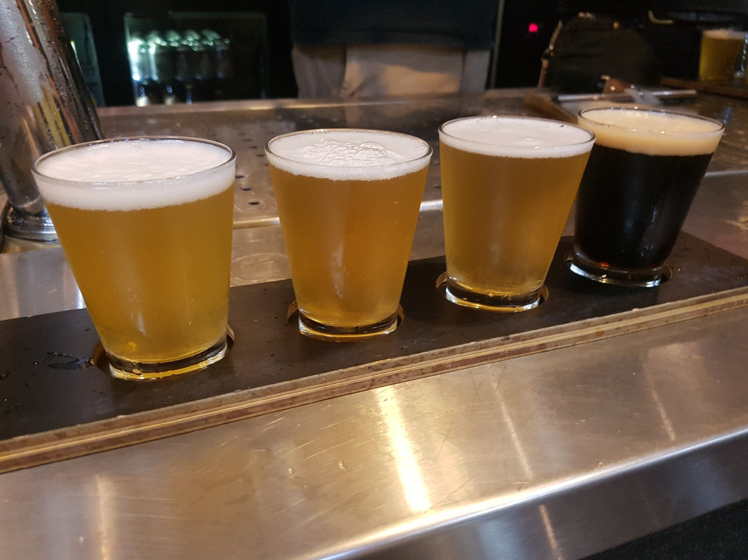 Hops & Brew Craft Brewery Tours景点图片