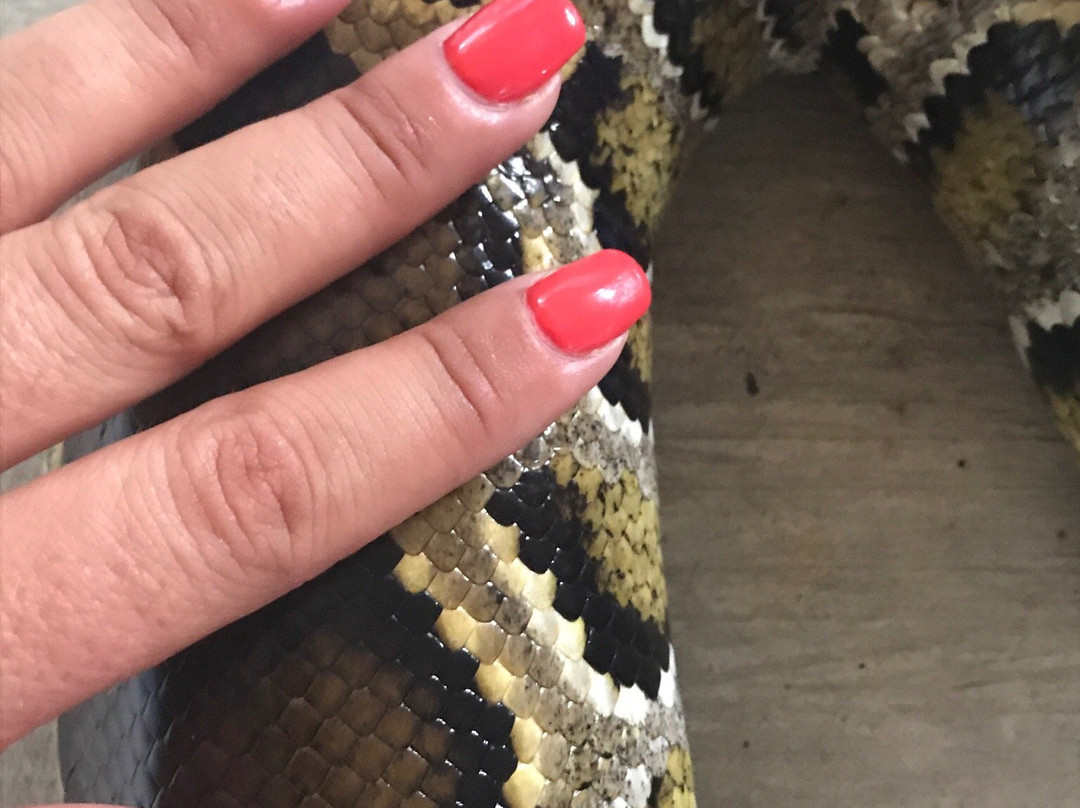 苏梅蛇场-苏梅岛必去景点