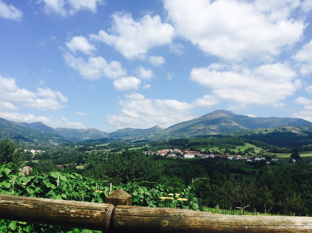 Arizcun餐馆和美食-Restaurante Bixta-Eder