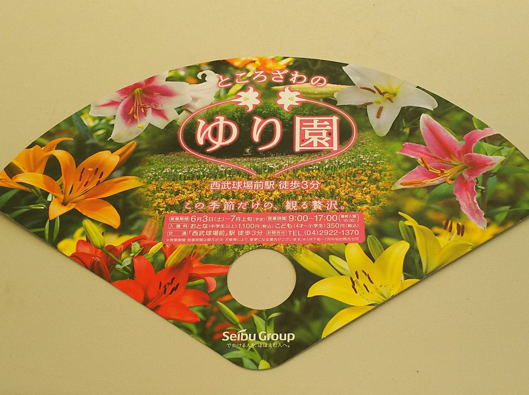 Lily Park-所泽市必去景点