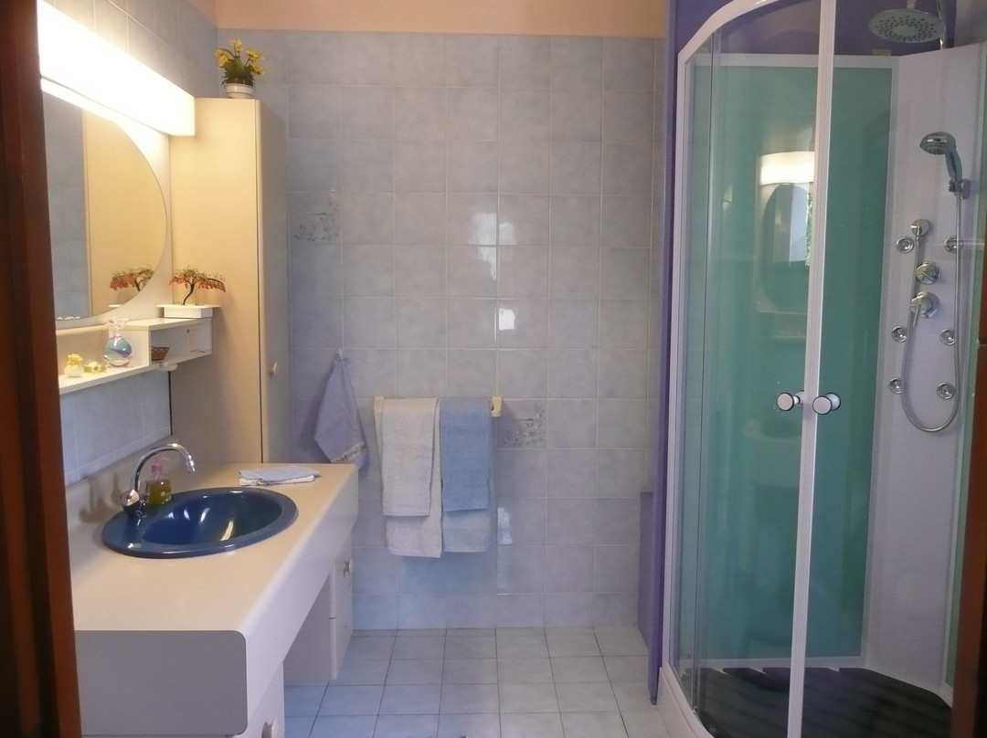 Les Pigeons Blanc主图