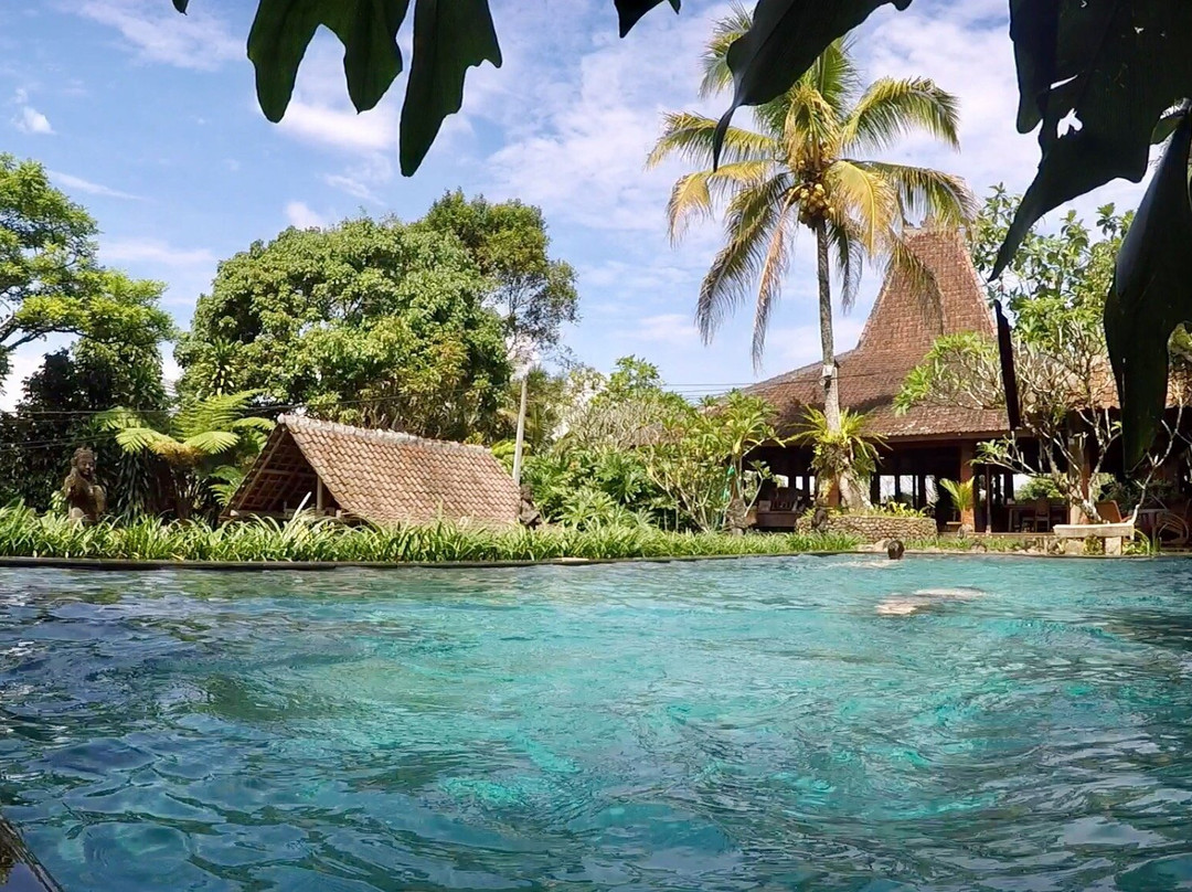Kampoeng Padi Boutique Villa