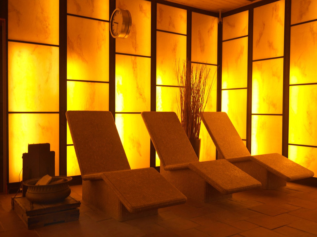 Sauna van Egmond-哈勒姆必去景点