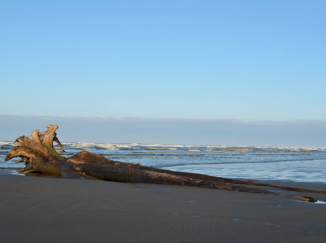 The Low Tide Motel主图