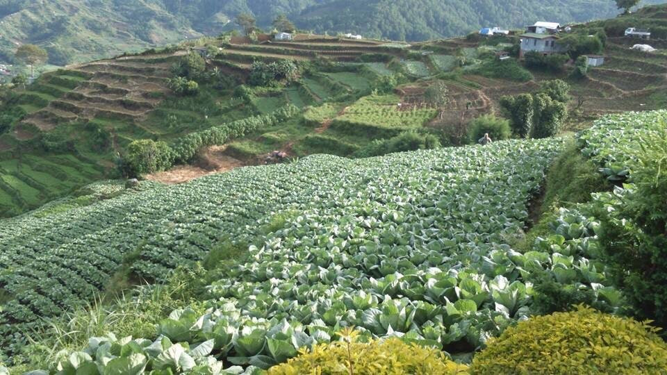 Buguias旅游攻略图片