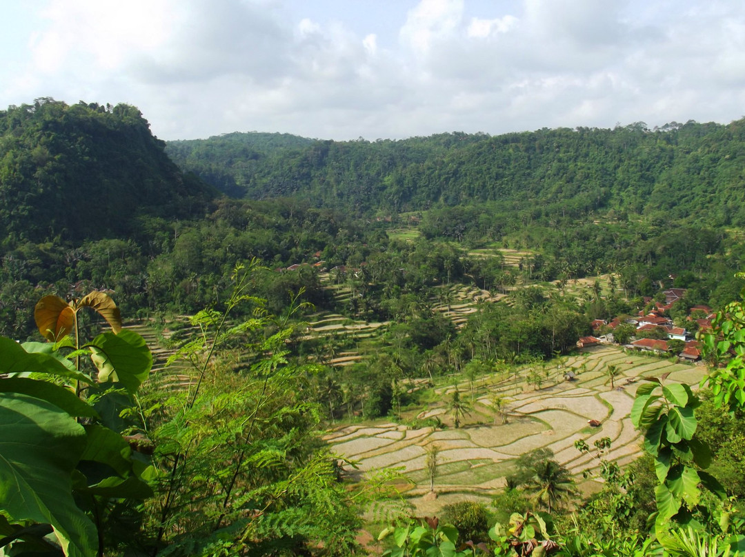 Bule Homestay Cianjur-Cianjur必去景点