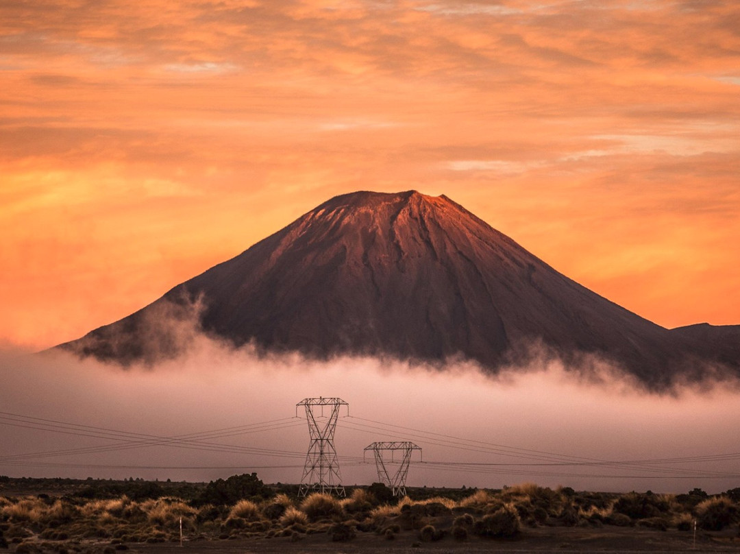 Tongariro Track Transport景点图片