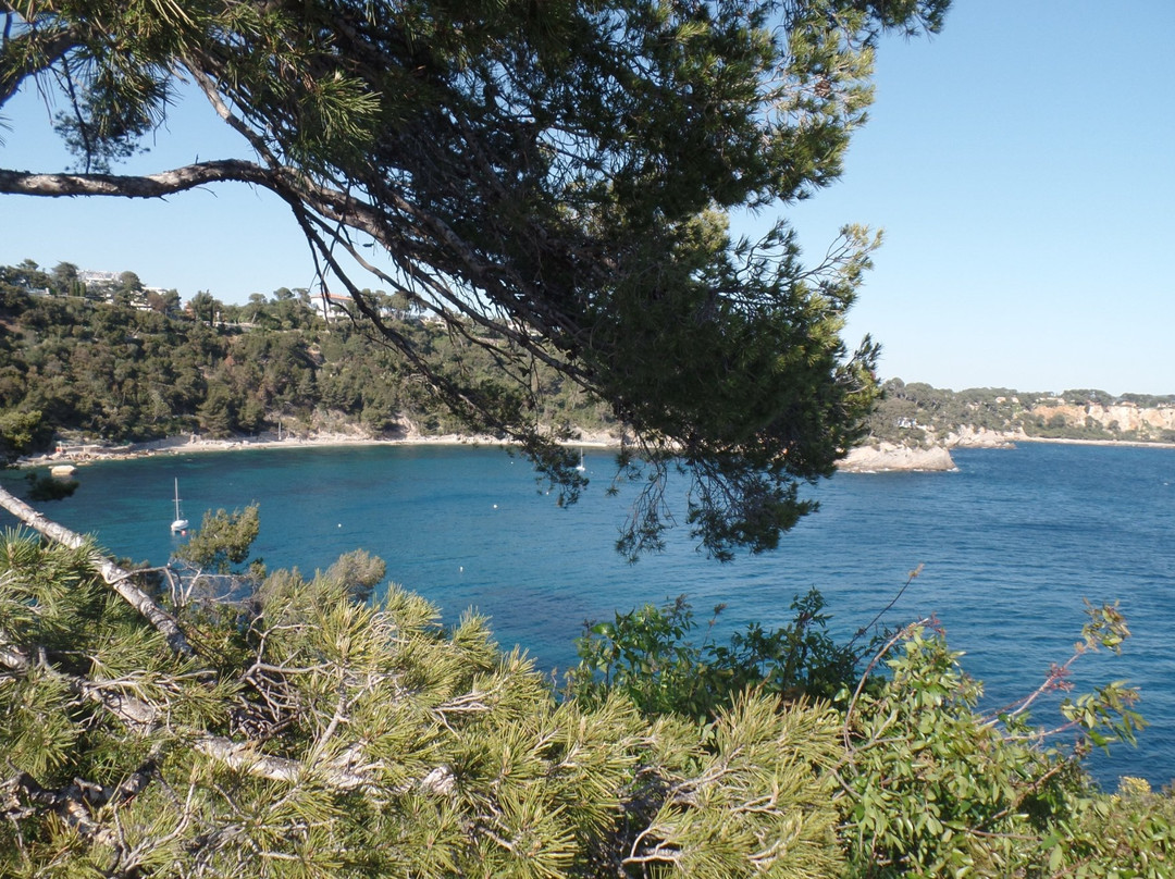 Plage de l'Anse de Magaud景点图片