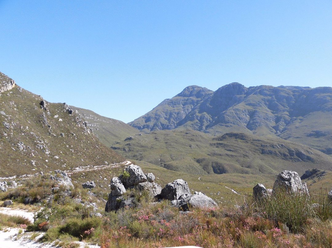 Hottentots Holland Nature Reserve-Grabouw必去景点