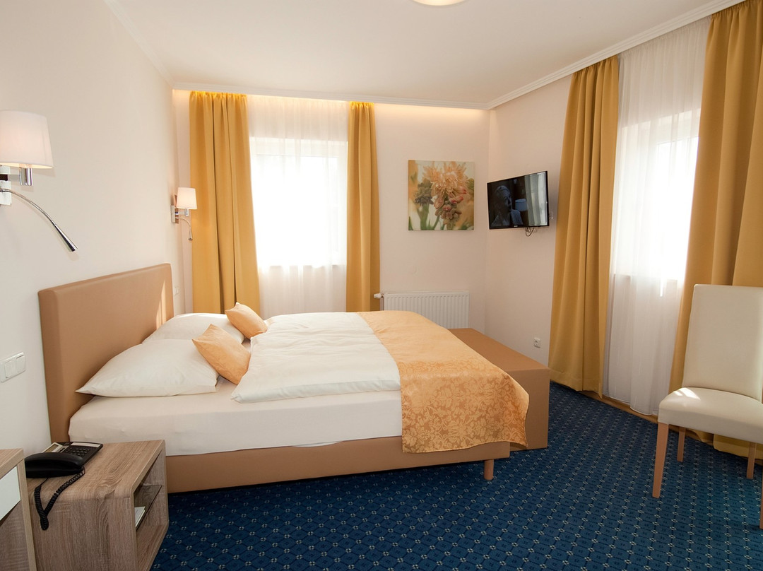 Hotel Biedermeierhof主图