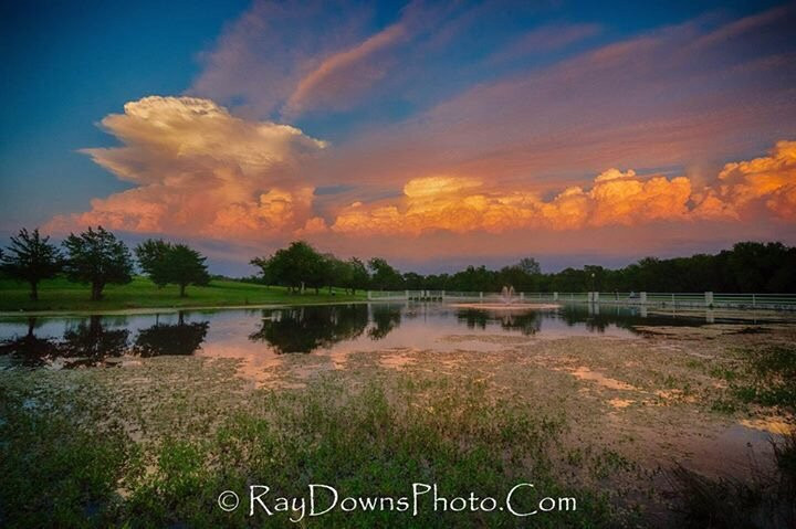 Bluebonnet Park-恩尼斯必去景点