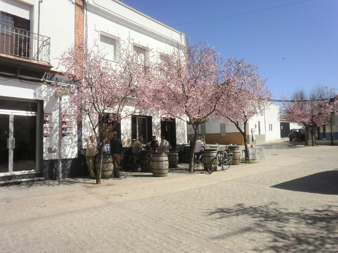 Plaza de la Salud景点图片