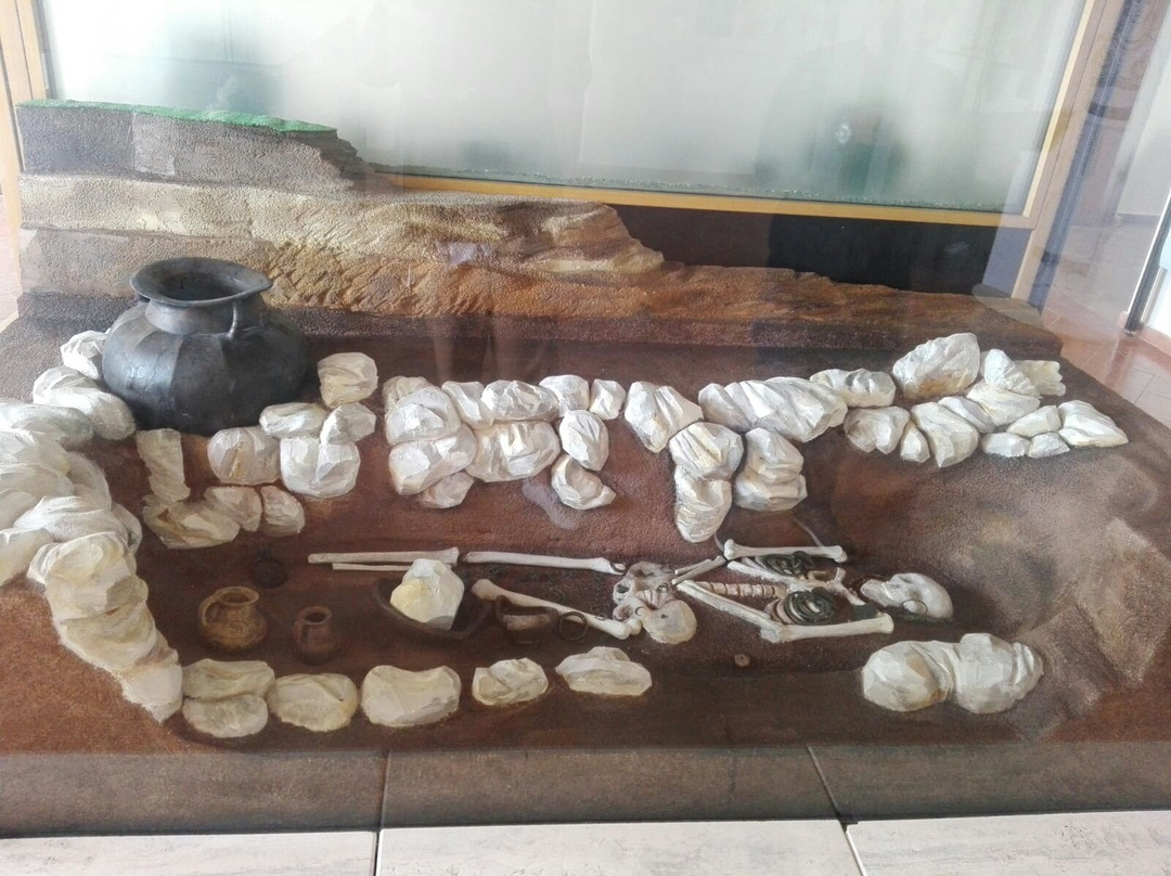 Museo Archeologico Nazionale Di Eboli景点图片