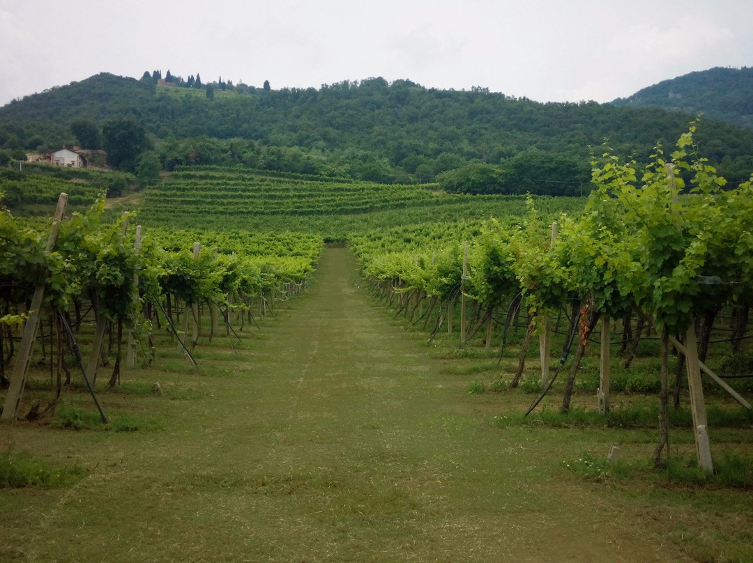 Cantina Nani 1967 - Tenuta Castello di Rubaro景点图片