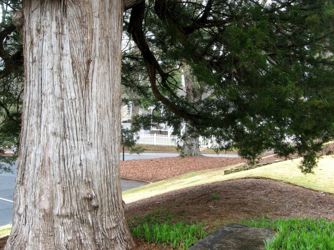 Bellevue-拉格兰奇必去景点