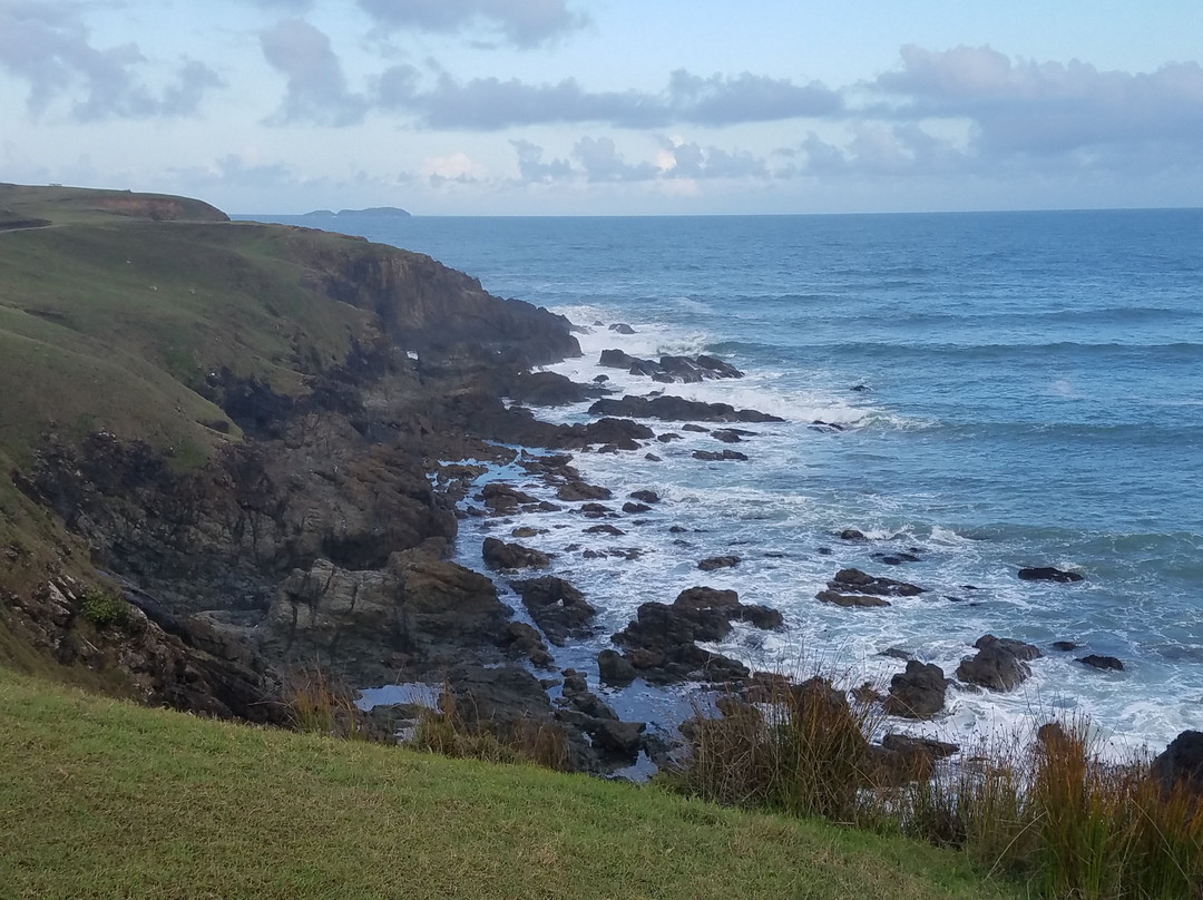 Emerald Beach旅游攻略图片