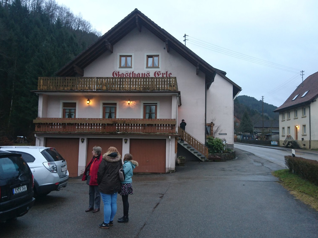 Gasthaus Zur Erle主图