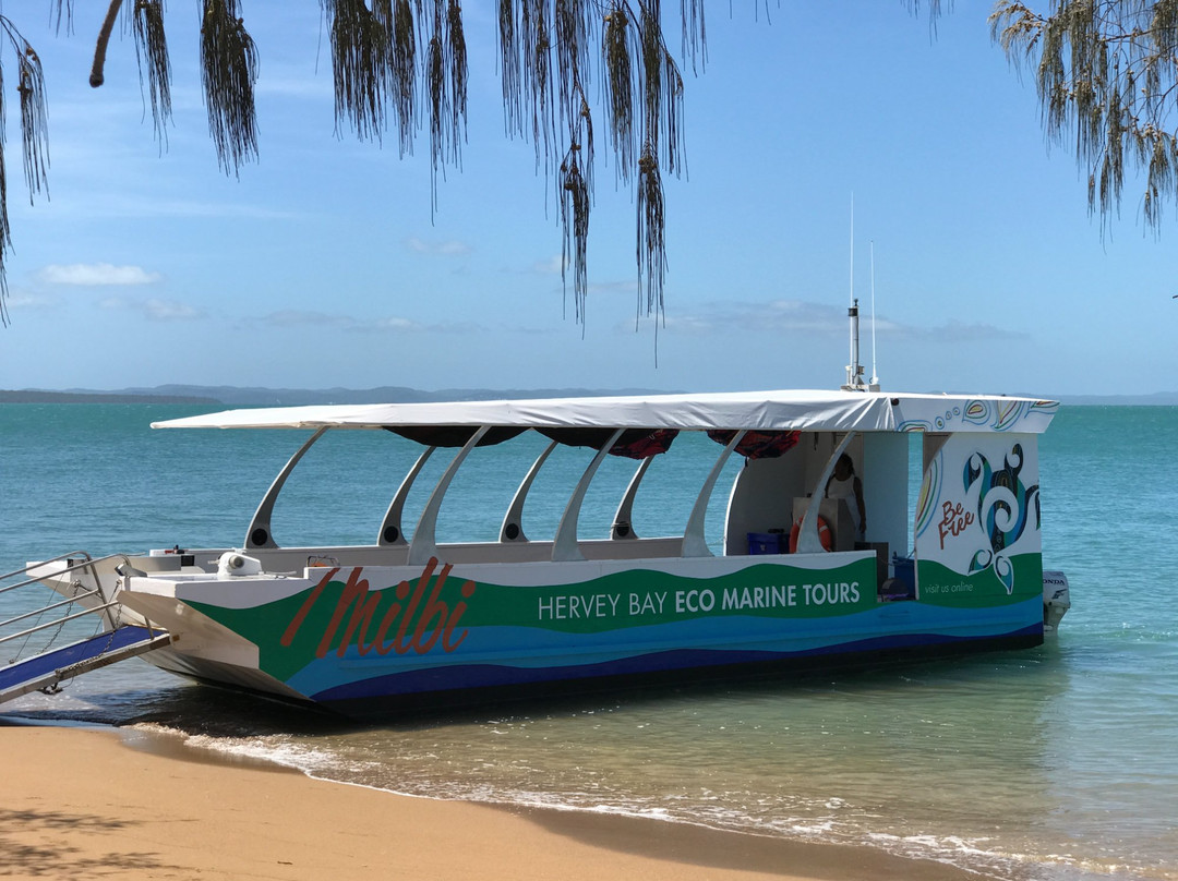 Hervey Bay Eco Marine Tours-赫维湾必去景点