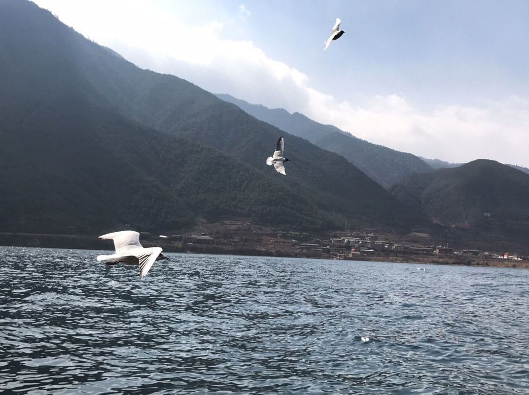 猪槽船与湖心岛-宁蒗彝族自治县必去景点